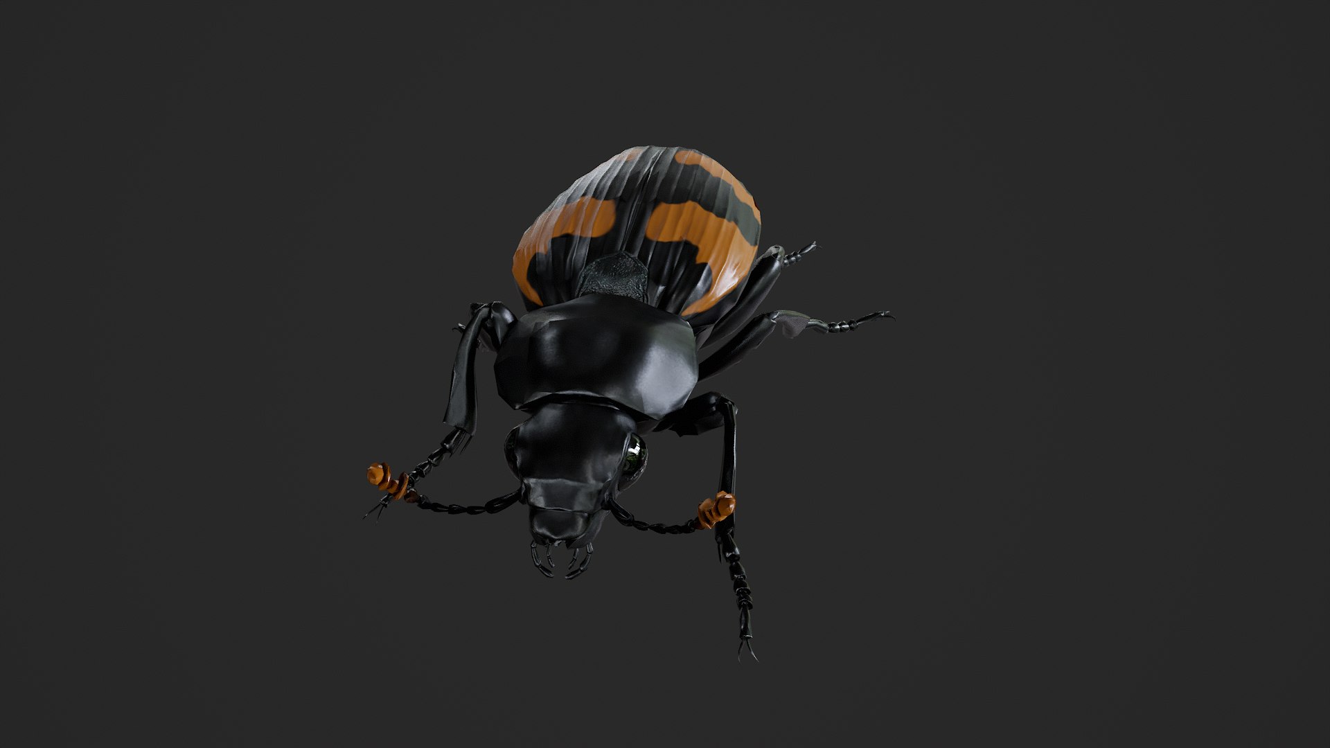 3D Burying beetle Nicrophorus japonicus https://p.turbosquid.com/ts-thumb/Ij/CLi1yE/qe/untitled_004/png/1764407951/1920x1080/fit_q87/dc0b7579dd8aefd859ed350ee7dddfdd9b4c2889/untitled_004.jpg