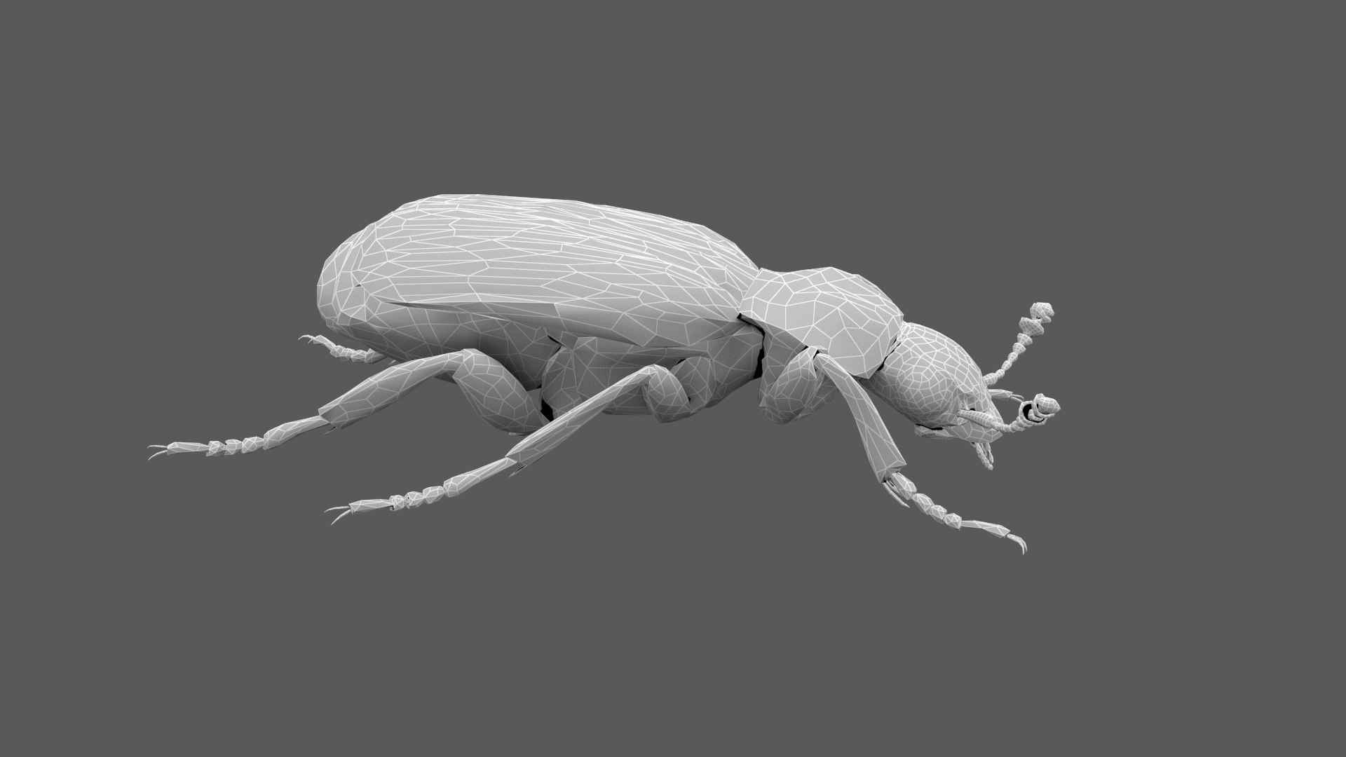 3D Burying beetle Nicrophorus japonicus https://p.turbosquid.com/ts-thumb/Ij/CLi1yE/qj/001/png/1764409000/1920x1080/fit_q87/6e6d485481f4391962c93776a03a5be9b09ed49d/001.jpg