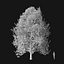 Real Trees I