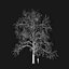 Real Trees I