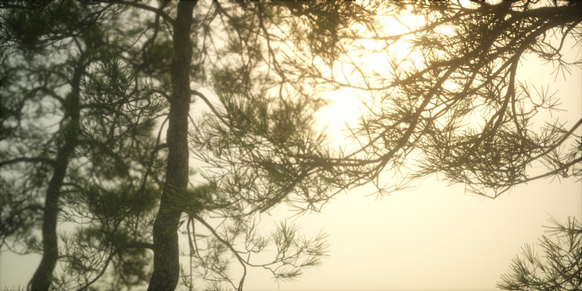 3D model Real Trees I https://p.turbosquid.com/ts-thumb/Ij/Jk2K9a/8G/pinussylvestristest02/jpg/1684780510/1920x1080/fit_q87/b01aab53e0b40db4af0bed3bb74f4b6e7f9c552e/pinussylvestristest02.jpg