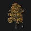 Real Trees I