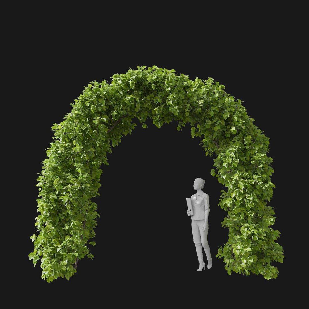 3D model Real Trees I https://p.turbosquid.com/ts-thumb/Ij/Jk2K9a/98/vphornbeamv1/jpg/1684780955/1920x1080/fit_q87/4f494cba33a75c9f3c529e41474bdc849a30ae6c/vphornbeamv1.jpg