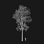 Real Trees I