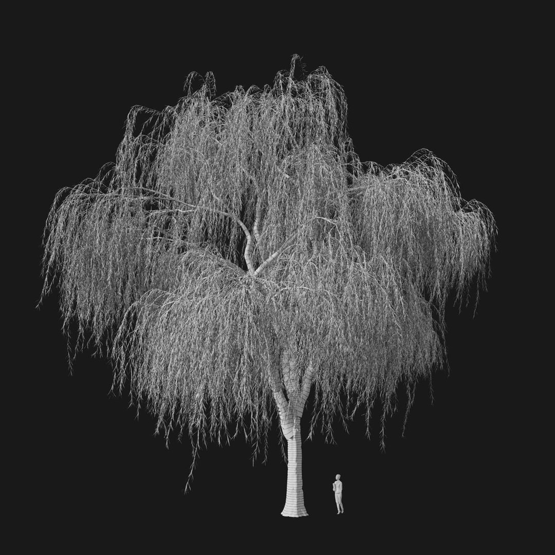 3D model Real Trees I https://p.turbosquid.com/ts-thumb/Ij/Jk2K9a/Ei/vpweepingwillowv4wire/jpg/1684780996/1920x1080/fit_q87/85978bbb6cea700dcf7279b1d8e7fb6af136da43/vpweepingwillowv4wire.jpg