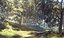 Real Trees I