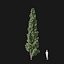 Real Trees I