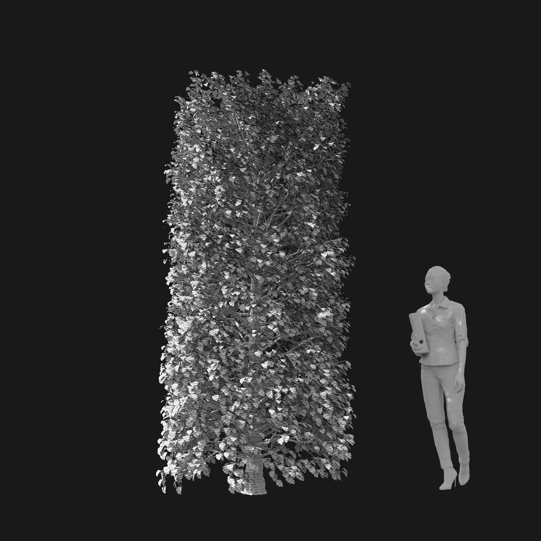 3D model Real Trees I https://p.turbosquid.com/ts-thumb/Ij/Jk2K9a/Gv/vphornbeamv3wire/jpg/1684780957/1920x1080/fit_q87/3b4a8d12ab5a6d1790217515e24f5c3e2784177b/vphornbeamv3wire.jpg