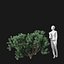 Real Trees I