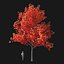 Real Trees I