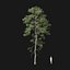 Real Trees I