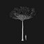 Real Trees I