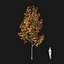 Real Trees I