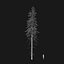 Real Trees I