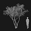 Real Trees I