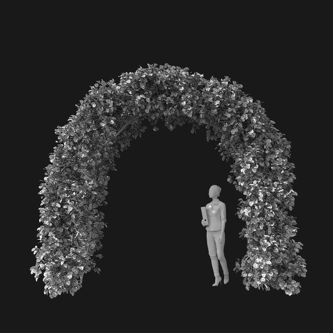 3D model Real Trees I https://p.turbosquid.com/ts-thumb/Ij/Jk2K9a/L0/vphornbeamv1wire/jpg/1684780955/1920x1080/fit_q87/1dca2fc7cb8e92bee82e78b5b6b05e7554499d8c/vphornbeamv1wire.jpg