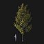 Real Trees I