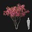 Real Trees I