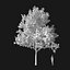 Real Trees I