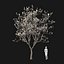 Real Trees I