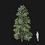 Real Trees I