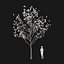 Real Trees I