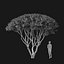 Real Trees I