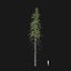 Real Trees I