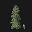 Real Trees I
