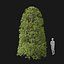 Real Trees I