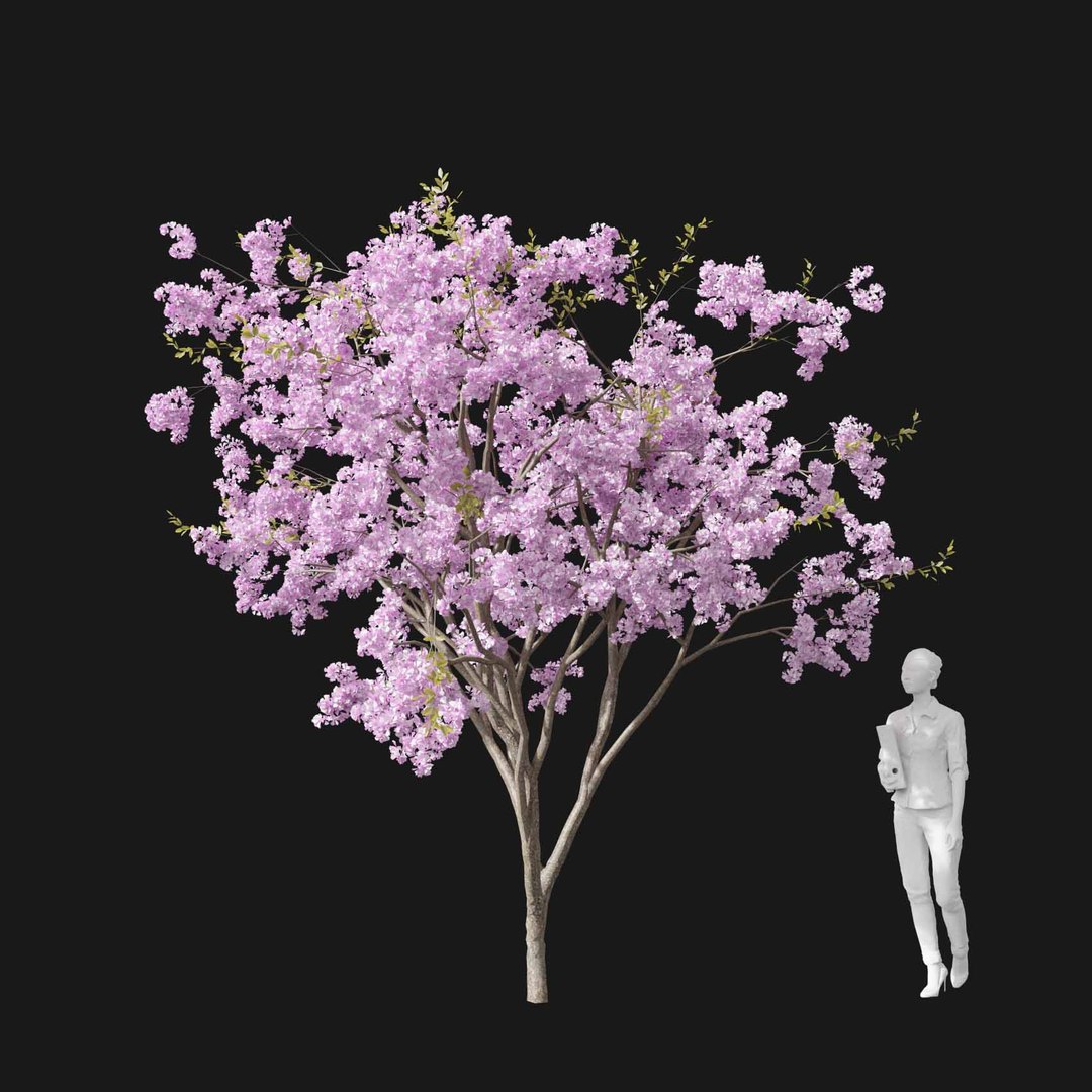 3D model Real Trees I https://p.turbosquid.com/ts-thumb/Ij/Jk2K9a/Zf/vpcherryblossomv4/jpg/1684780950/1920x1080/fit_q87/0edd8d0cb1095c1234d5bde0c151698d02694377/vpcherryblossomv4.jpg