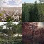 Real Trees I