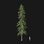 Real Trees I