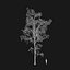 Real Trees I