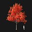 Real Trees I