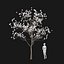 Real Trees I
