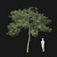 Real Trees I