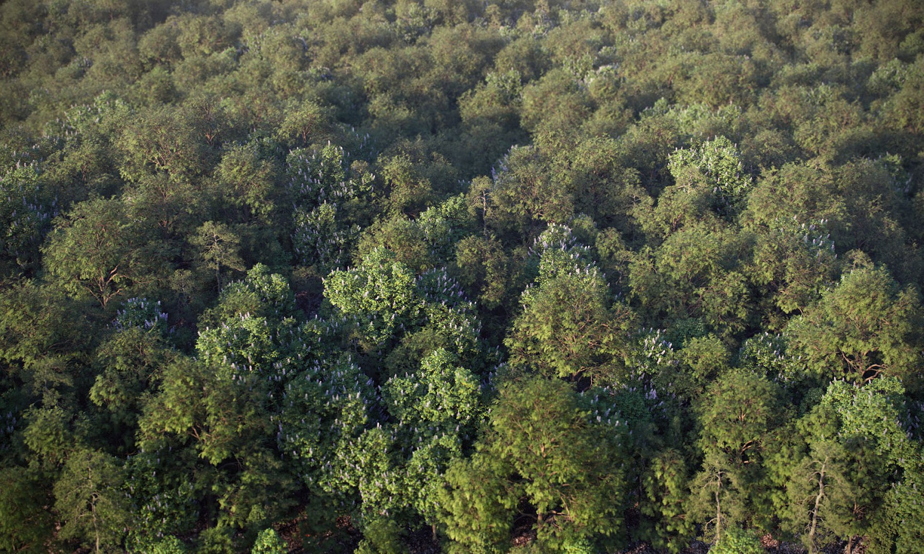 3D model Real Trees I https://p.turbosquid.com/ts-thumb/Ij/Jk2K9a/iV/vprealforestleaves011920/jpg/1684781540/1920x1080/fit_q87/faaa6a552b14e40f832dd6cf1078030b16687c64/vprealforestleaves011920.jpg