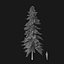Real Trees I
