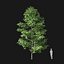 Real Trees I