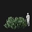Real Trees I