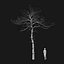 Real Trees I