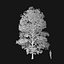 Real Trees I