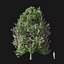 Real Trees I