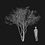 Real Trees I