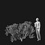 Real Trees I