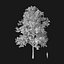 Real Trees I