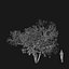 Real Trees I