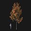 Real Trees I
