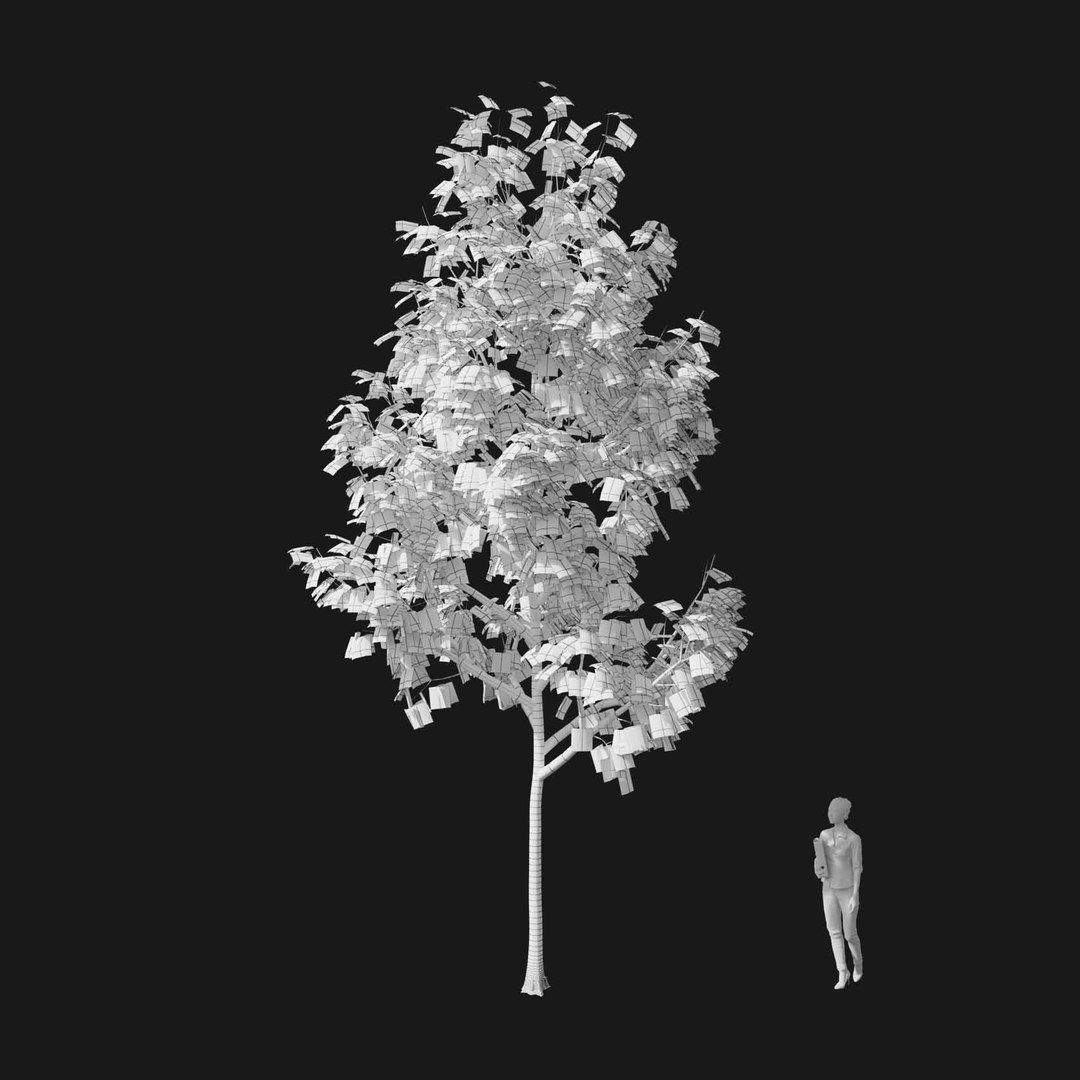 3D model Real Trees I https://p.turbosquid.com/ts-thumb/Ij/Jk2K9a/s7/vpacerrubrumv3wire/jpg/1684780937/1920x1080/fit_q87/ca87f61ad642f4dfda136d6fcc055aa36cd094f2/vpacerrubrumv3wire.jpg